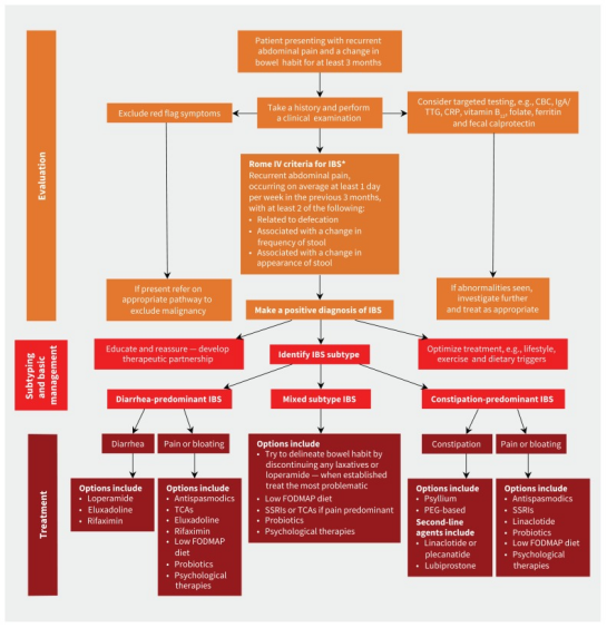 IBS management using algorithm 6 months prior diagnosis. 